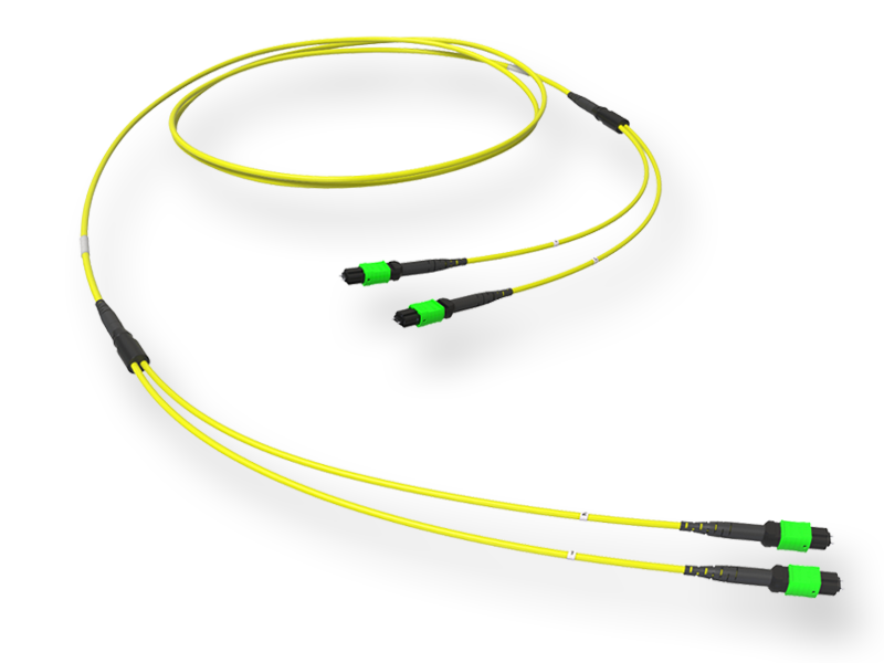 Оптическая соединительная сборка 24 x 09/125 OS2, MTP(12)m/MTP(12)m