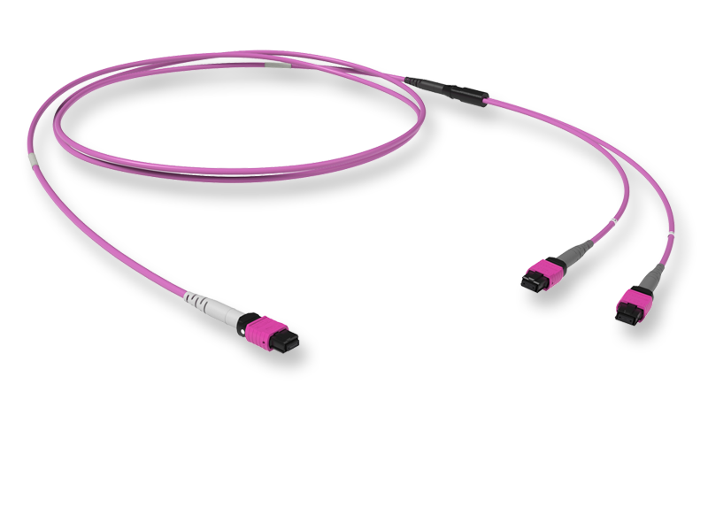 Оптический патчкорд 16 x 50/125 OM4, MTP(16)f 8º APC/MTP(8)f